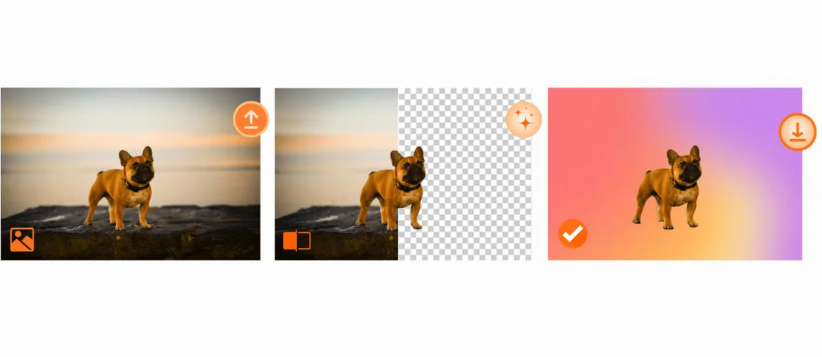Editing Features Collage